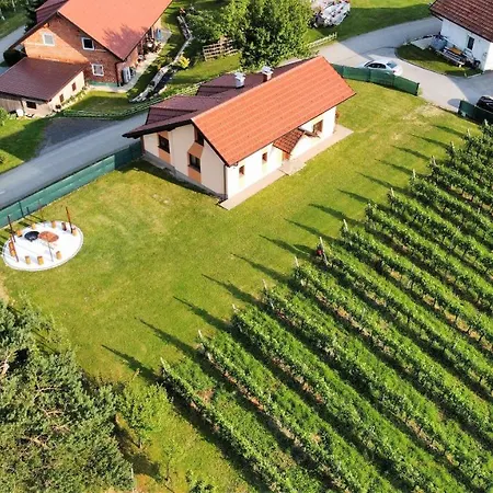 Guesthouse And Wellness Vinea Spodnji Ivanjci Exterior photo