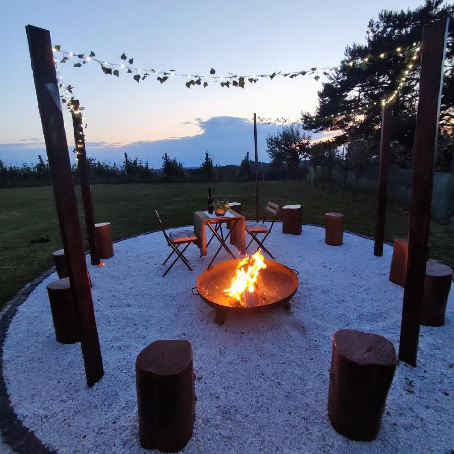 Holiday home And Wellness Vinea Spodnji Ivanjci