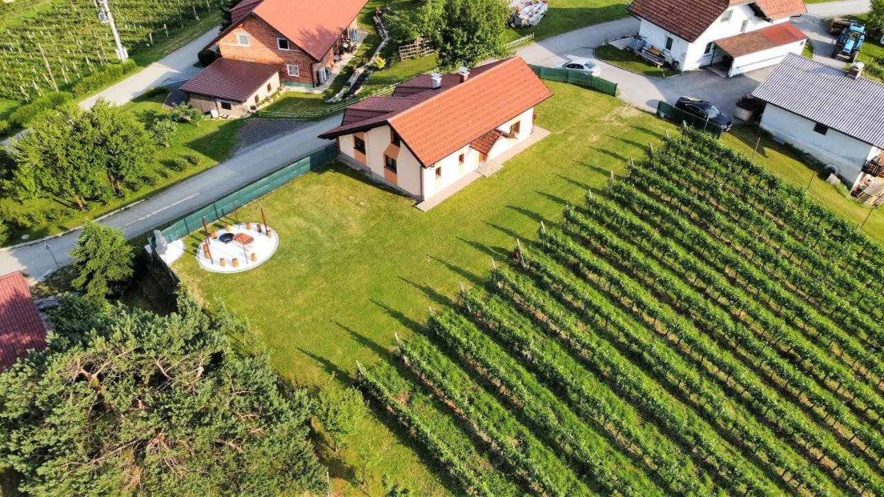 And Wellness Vinea Holiday home Spodnji Ivanjci